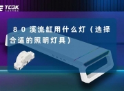 80溪流缸用什么灯最合适？LED灯具竟然有这些惊人优势