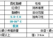 红绿灯鱼你了解多少?