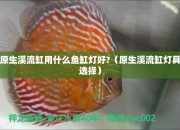 原生溪流缸用什么鱼缸灯好?（原生溪流缸灯具选择）