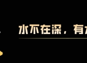 雷龙鱼为什么会出现烧鳍、烧尾的问题?