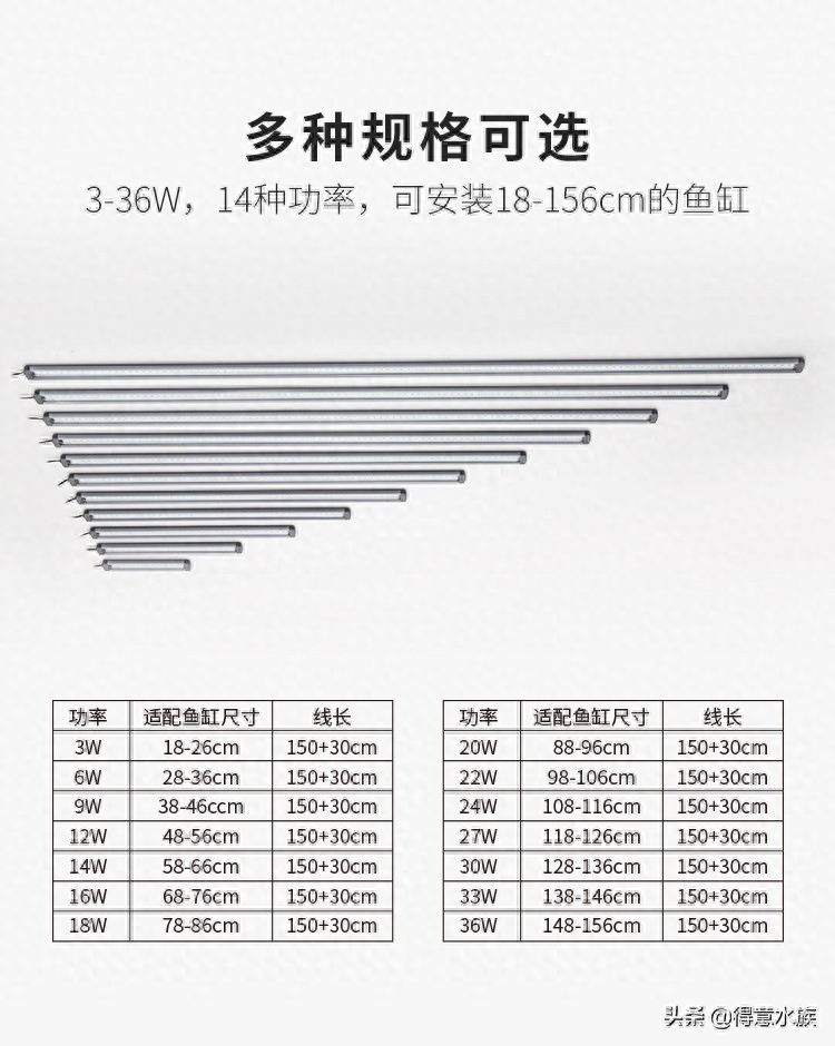 养鱼科普