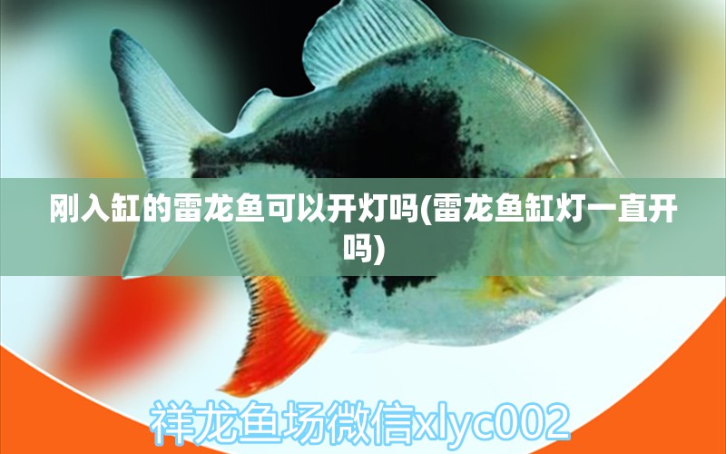 水族知识