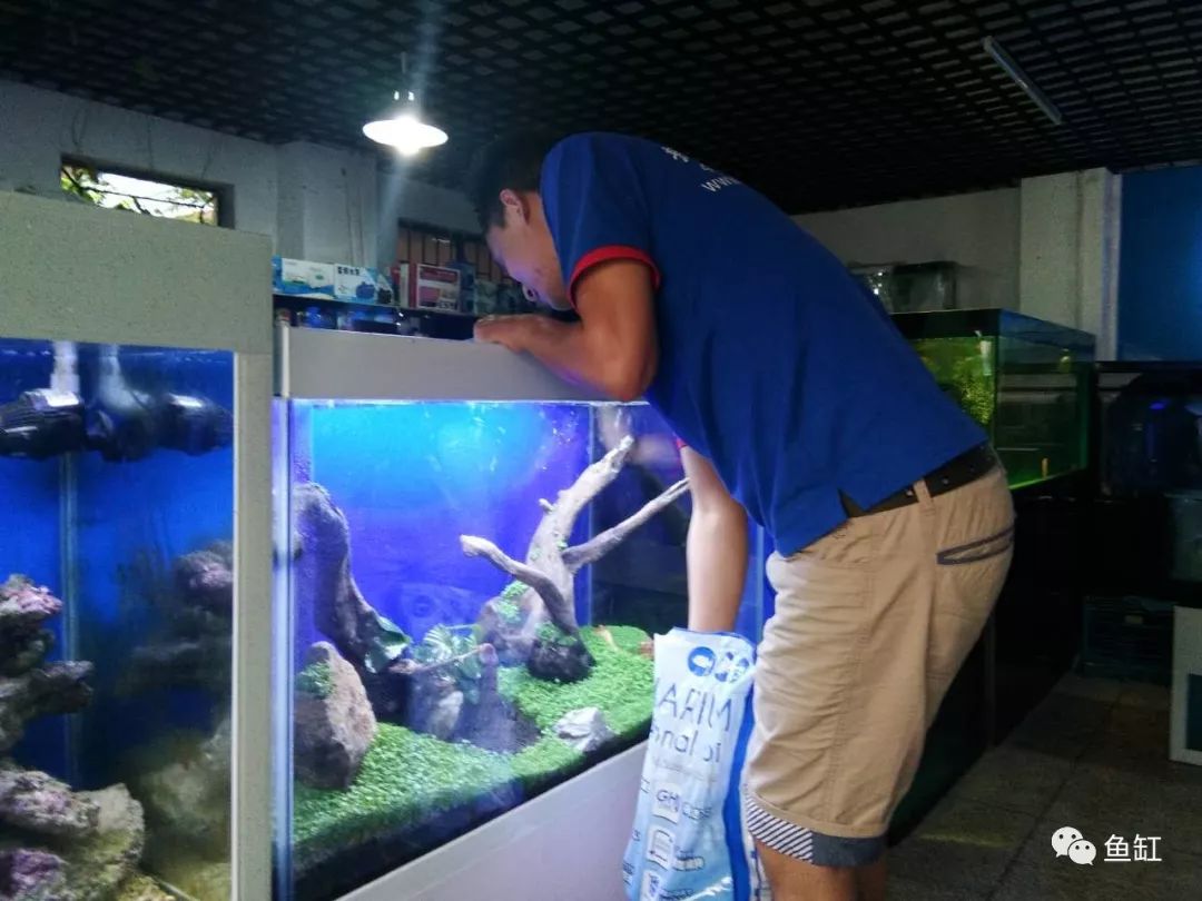 水族知识