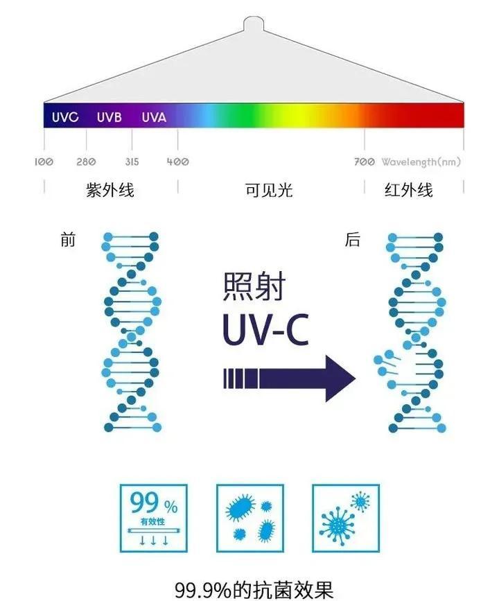 养鱼科普